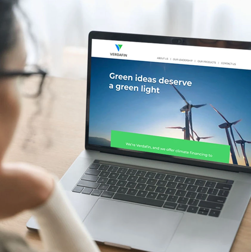 Verdafin – Green Finance Website - Solution